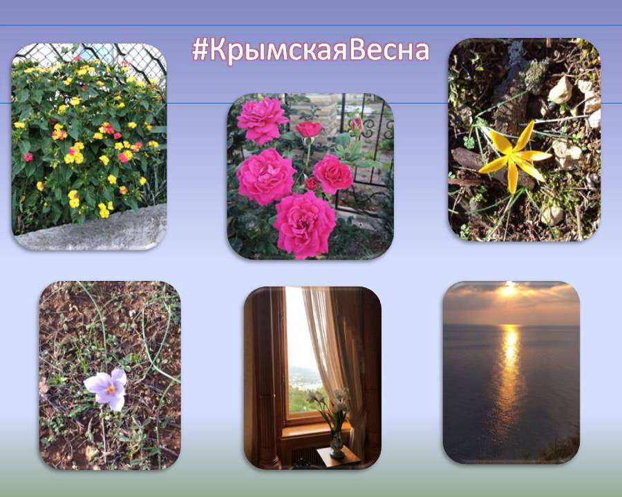 Слайд6.JPG
