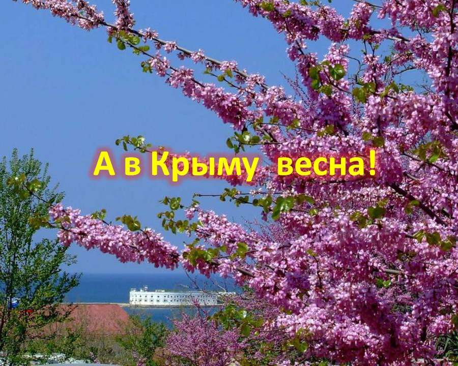 Слайд11.JPG