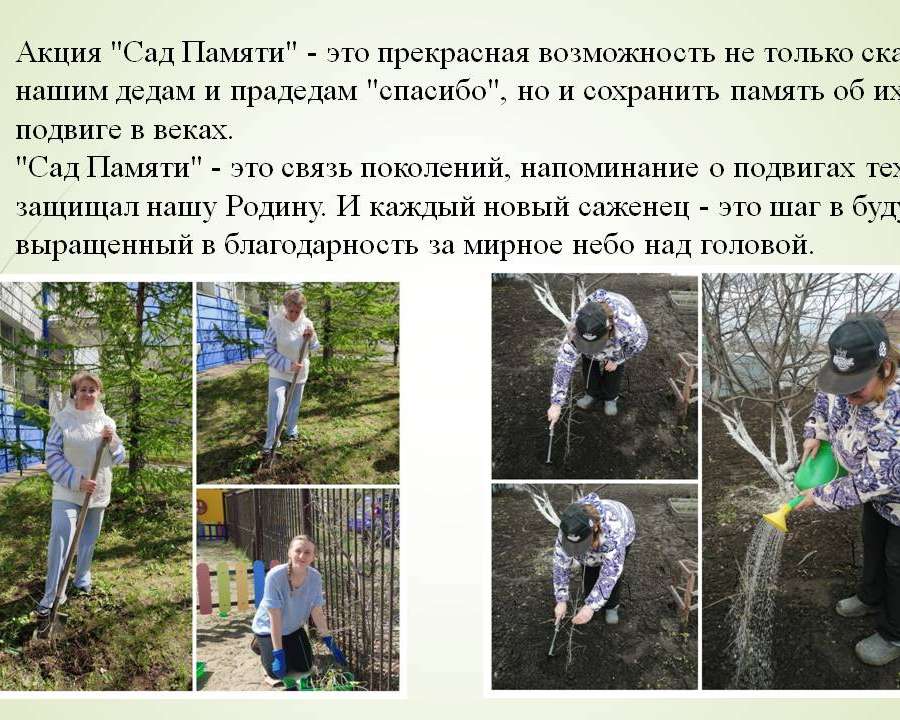 Слайд3.JPG